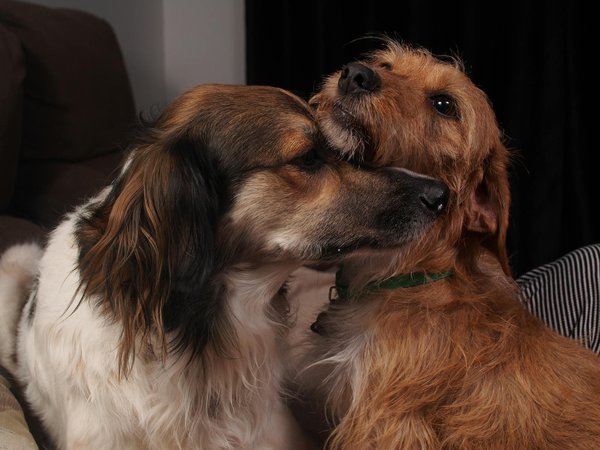 Enhancing Athletic Performance: Integrating Dynamic Visual Acuity Exercises in Coaching Techniques